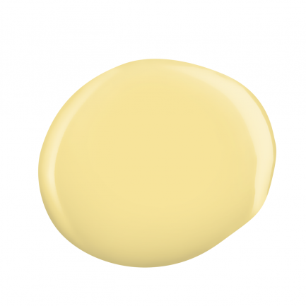 Kinetics Shield #430 Fly High