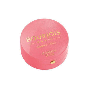 Bourjois Blusher 15 - Beauty Bounty