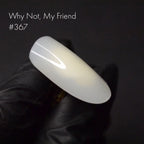 kinetics #367 WHY NOT, MY FRIEND