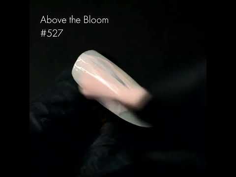 Kinetics SolarGel 527 ABOVE THE BLOOM