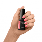 SHIELD (HEMA FREE)
#576 LUSH BLUSH - Beauty Bounty