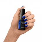 SHIELD (HEMA FREE)
#579 DIVERSE SKY - Beauty Bounty