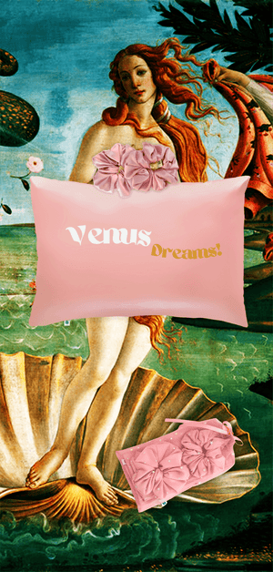 Urban Dreams Satin Pillowcase - Beauty Bounty