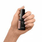 Kinetics Shield #480 IT’S A MATCH - Beauty Bounty