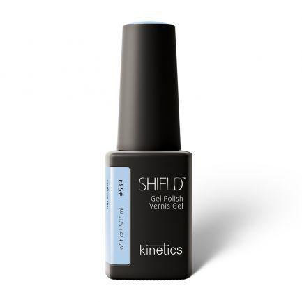 Kinetics ShieldGel 539 TOP MAGNET - Beauty Bounty